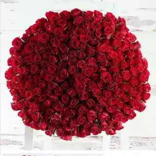 200 Roses 
