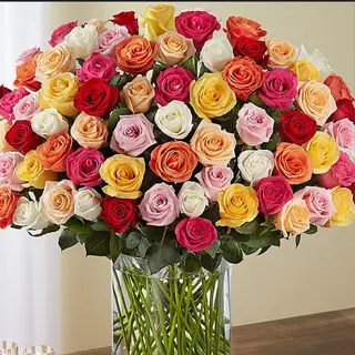 100 Roses Multicoleurs 