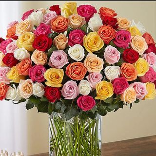 100 Roses Multicoleurs