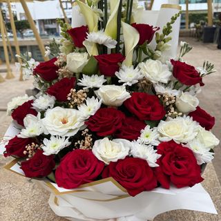 Face blanc et rouges