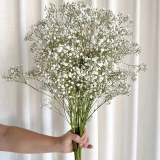 Bouquet Gibsofil 