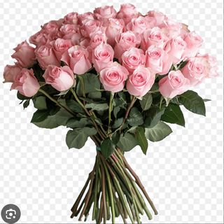 Bouquet 50 roses roses