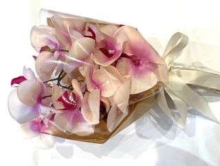 Orchidées Rose clair