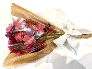 Hortensia Rose foncé