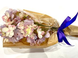 Hortensia Rose Clair