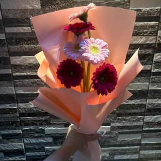 6 Gerbera
