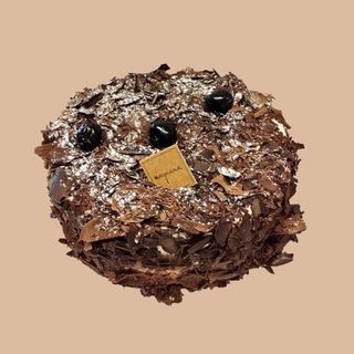 Forêt noire - 6 à 8 personnes