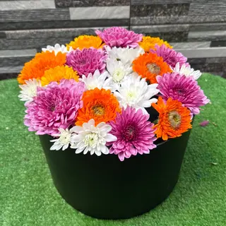 Box avec variété