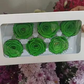 6 roses éternelles 