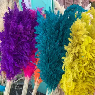 5 pièces fleurs séchées 