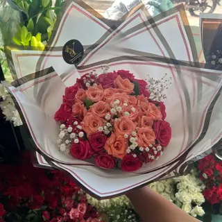 15 roses  rose