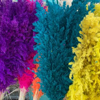 10 piéces fleurs séchées 