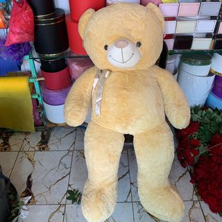 Grande grande nonours 