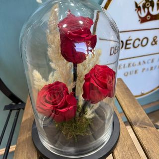 Triple Red Eternal Roses in Glass Dome