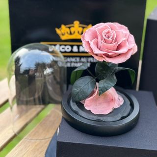 Cloche Rose Éternelle Rose Poudrée