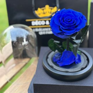 Cloche Rose Éternelle Bleu Royal