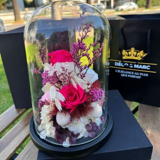 Cloche Rose Éternelle Rose Fuchsia