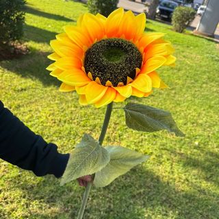 Artificial Sunflower