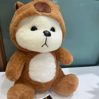 Cute Bear Plush Toy