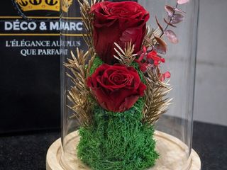 Red Eternal Roses Dome