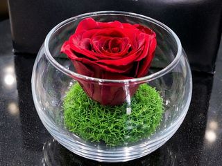 Red Eternal Rose Orb