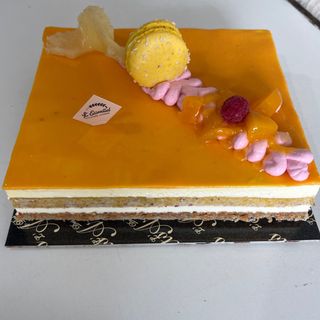 Sacher mongue