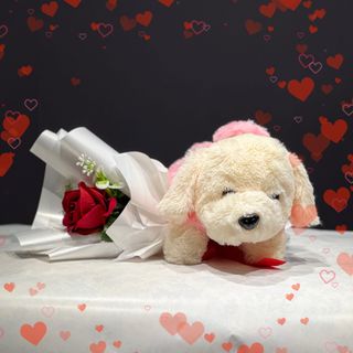 ♥️Sensiblee♥️