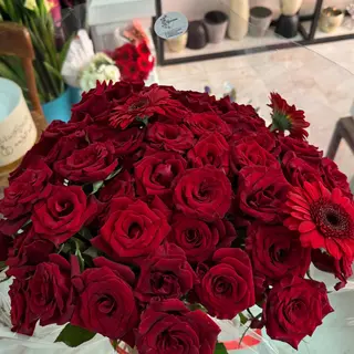 Bouquet d'excuses bl/rg 20 roses