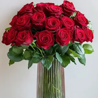 Romance
