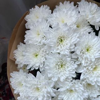 Le beau الجميل