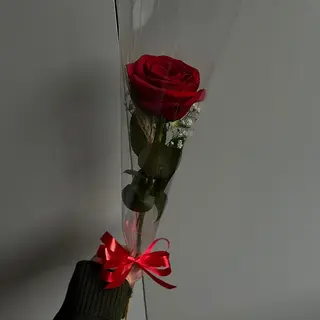 1 rose rouge