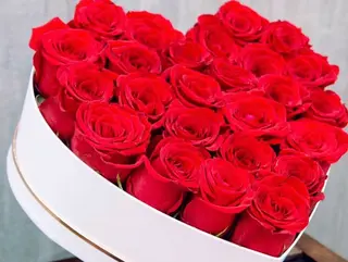 Moyen coeur