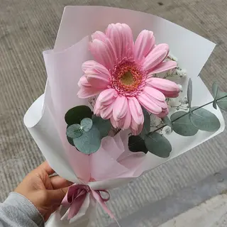 Le rose