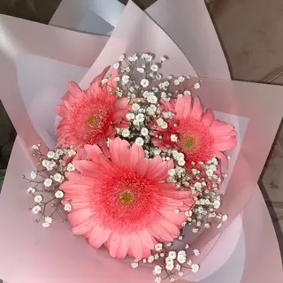 Le 3 rose