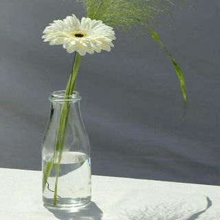 Le blanc avec vase