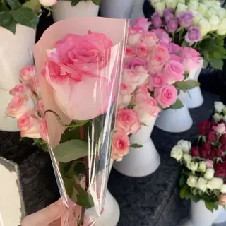 1 rose