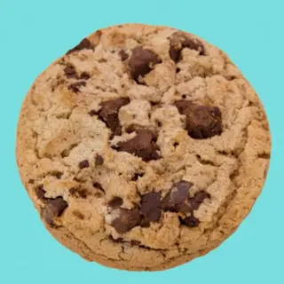 The Classic Bite