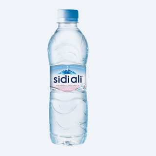 Sidi ali
