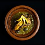 Tajine de poulet au citron