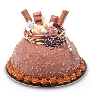 DOME FERRERO NOISETTES SPECIAL 10 PERSONNES