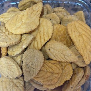 Salé feuille de plante