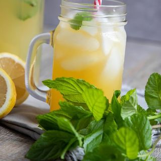 Ice Tea Citron Menthe 