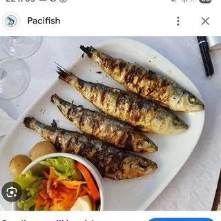 Sardine