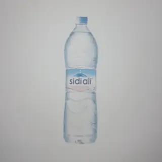 Sidi ali