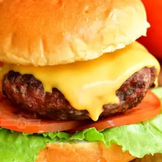 Cheese Burger(Servi avec frites)