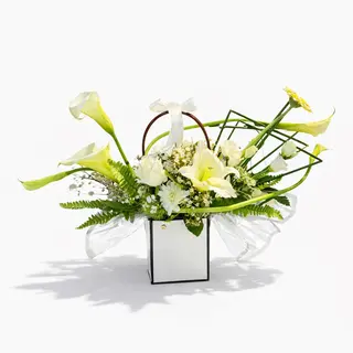 For the best Women