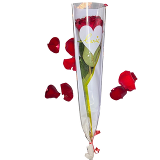 Single Love Rose