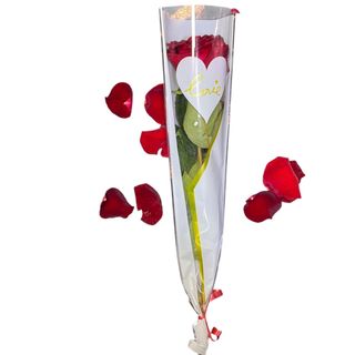 Single Love Rose