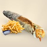Shawarma Extra + Frites