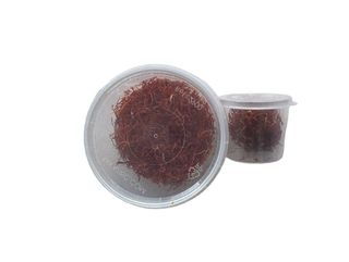 Boite grande de cinq gramme de safran de taliouine